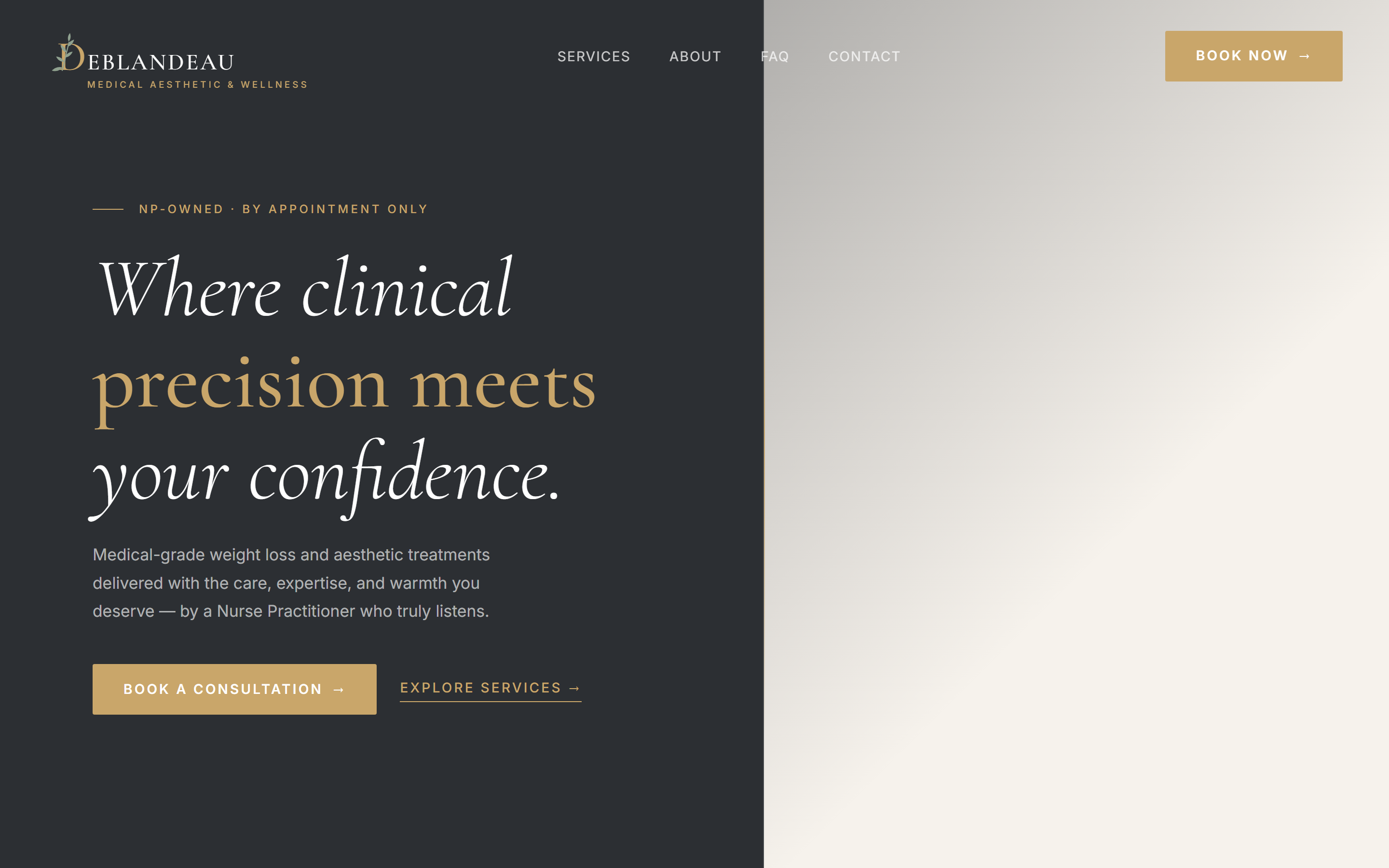 Deblandeau website